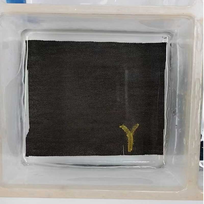 試驗片浸泡狀態